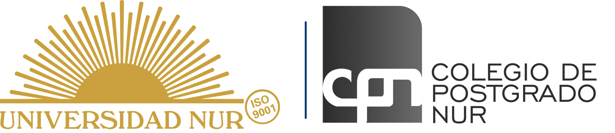 Plataforma Virtual Postgrado